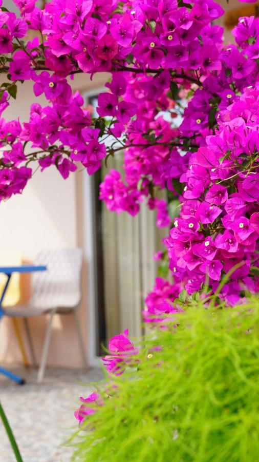 Yelken Bungalov Bed and Breakfast Milas Εξωτερικό φωτογραφία